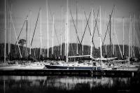 Amys Cusotm Black And White Ph - Sailing  In Blue - Digital